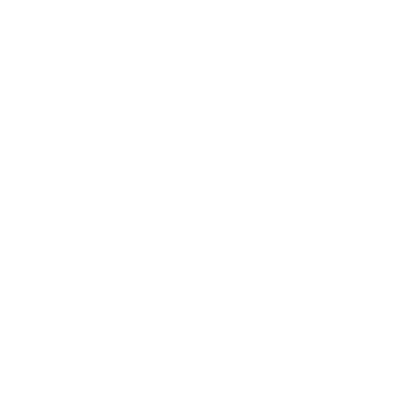 Bray butterfly-control-valve-slurry